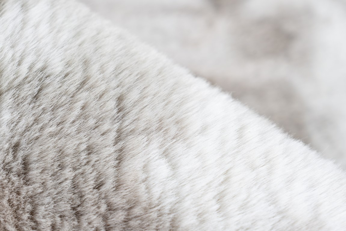 Bolero BOL 500 beige szőnyeg | LALEE