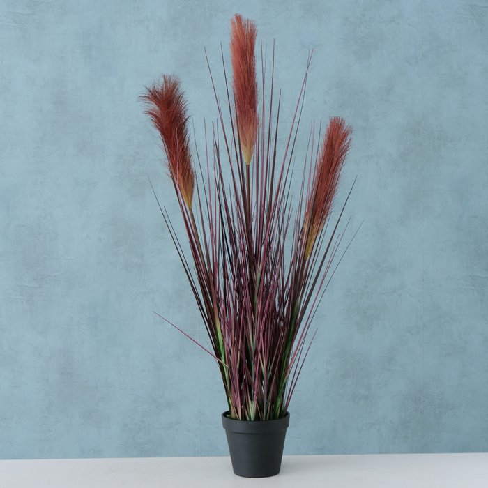 2006069 Plant in pot_dísznövény ,Bristle Millet M78 cm