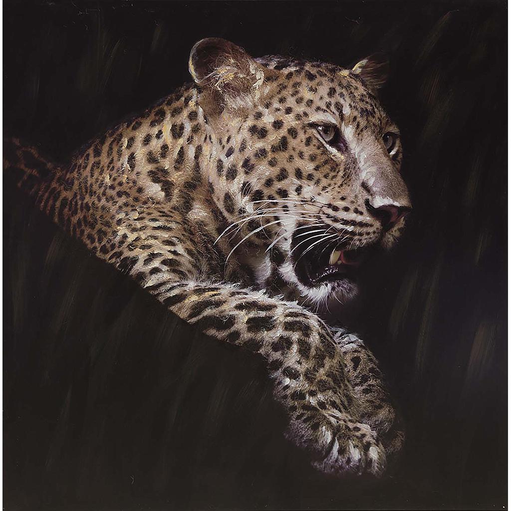 72587028 Original Rimbo falikép"Leopard" 100x100 cm "k"