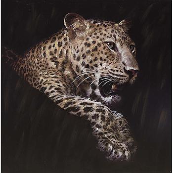 72587028 Original Rimbo falikép"Leopard" 100x100 cm "k"
